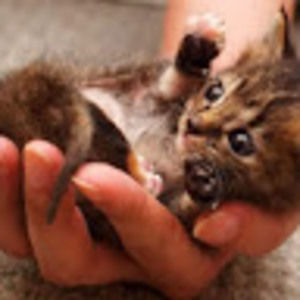 Meet your Posher, Jaden